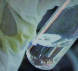Quantum Serum